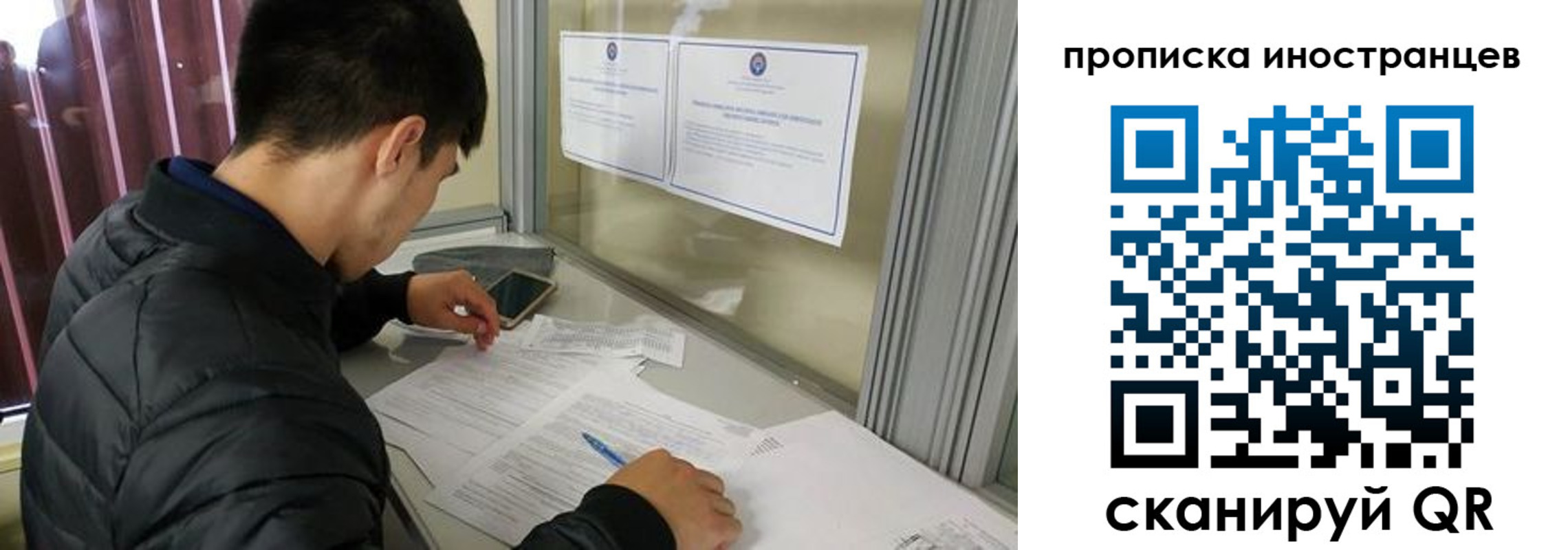 прописка в Пионерском